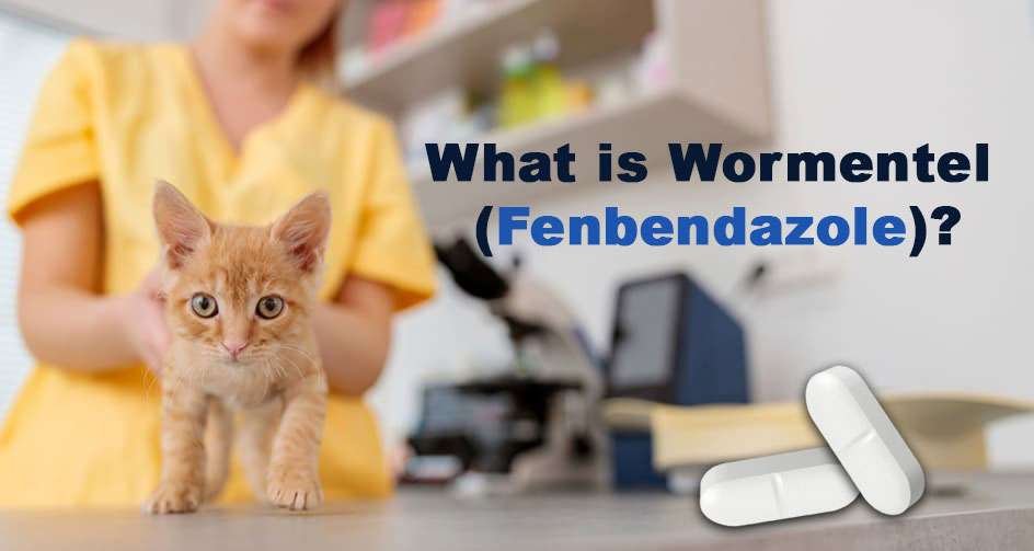 What is Wormentel (Fenbendazole)?