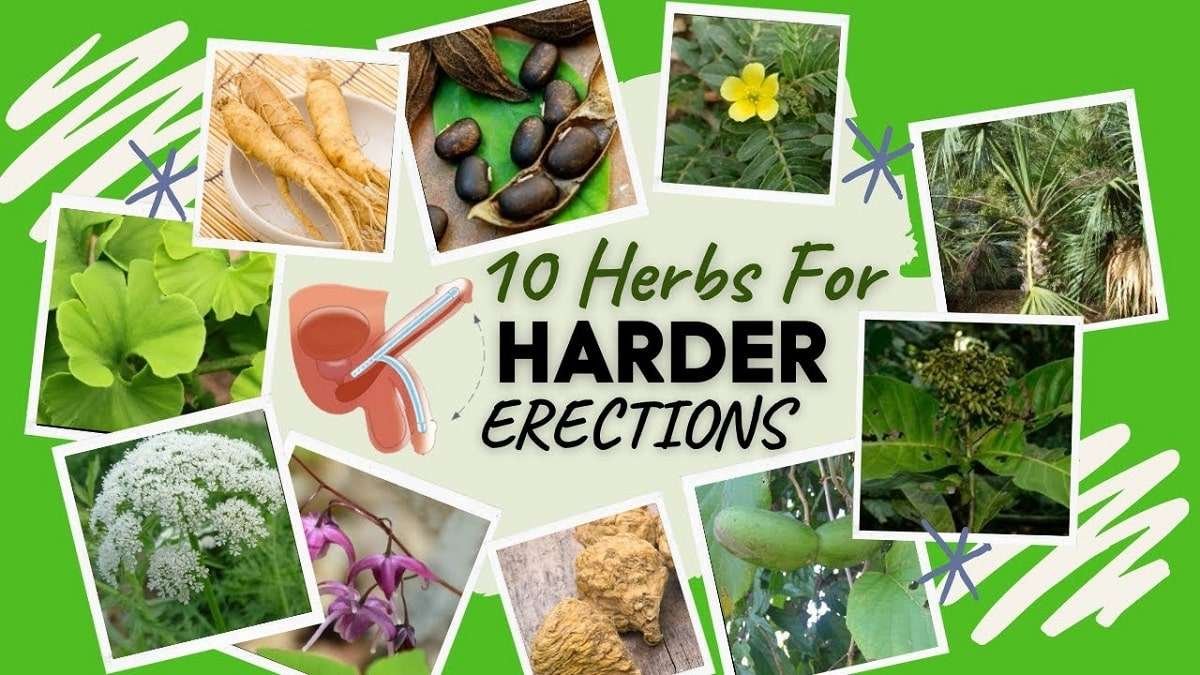 5 Herbs for Boosting Erections
